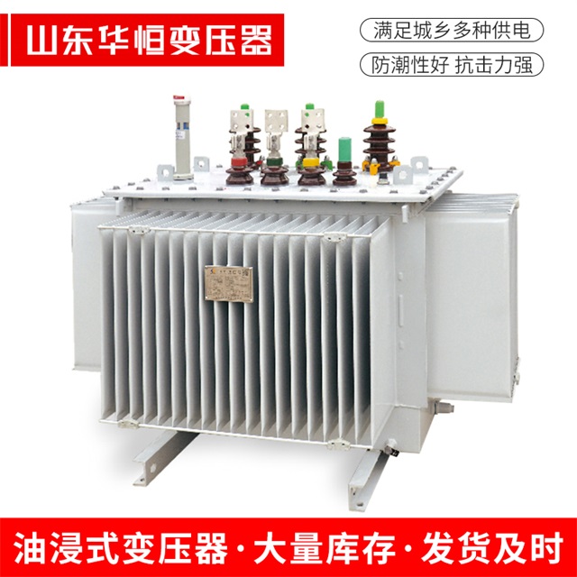 S13-10000/35乾安乾安乾安电力变压器